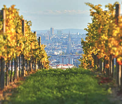 wine_vienna_tile